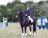 dressage horse Allright 13 (Oldenburg, 2013, from Antango du Feuillard)