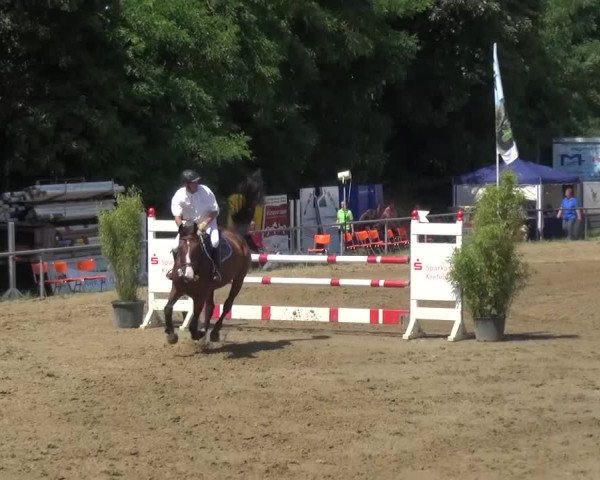 Reitturnier Grefrath - Reitanlage Heitzerend 2015