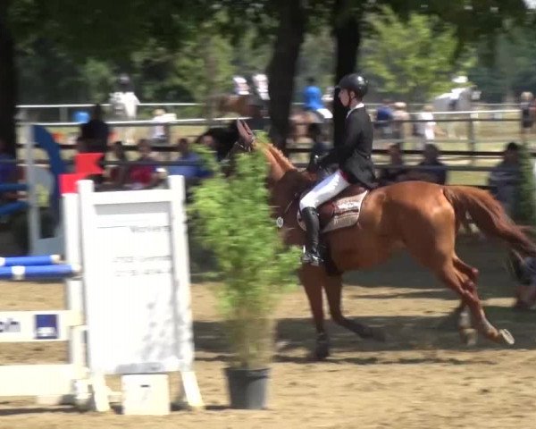 Reitturnier Grefrath - Reitanlage Heitzerend 2015