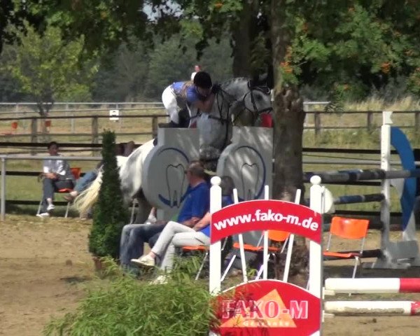 Reitturnier Grefrath - Reitanlage Heitzerend 2015