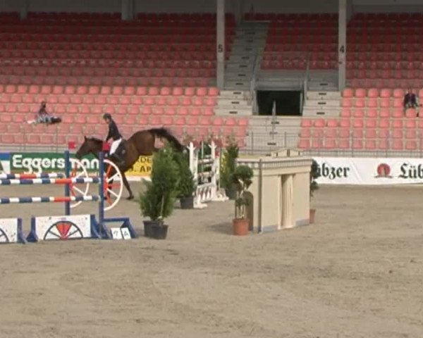 Reitturnier Redefin 2015