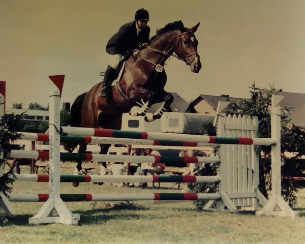 Zuchtstute Tausendschön (Trakehner,  , von Memelruf)