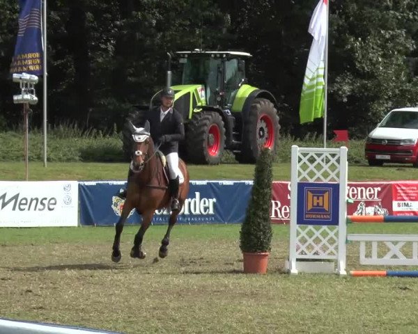 FEI Reitturnier Steinhagen (GER) 2015