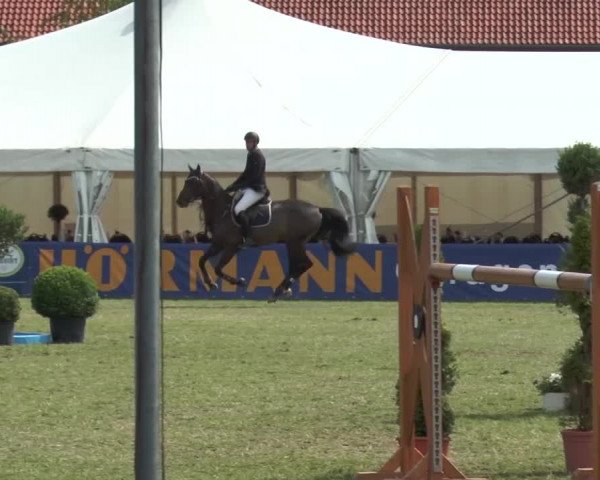 FEI Reitturnier Steinhagen (GER) 2015