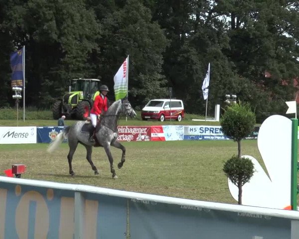 FEI Reitturnier Steinhagen (GER) 2015