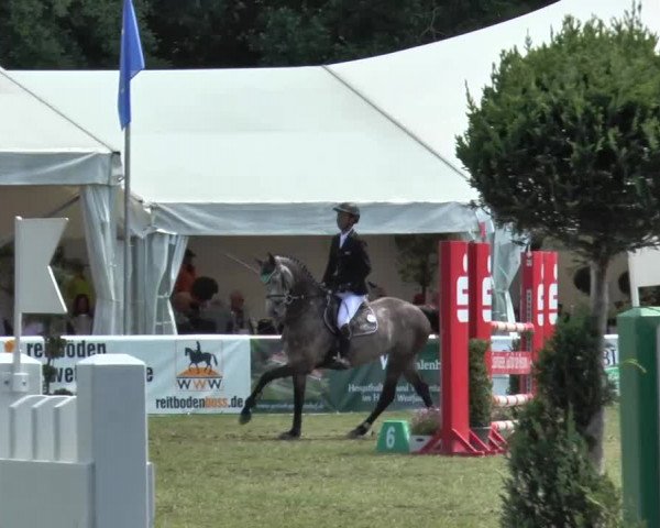 FEI Reitturnier Steinhagen (GER) 2015
