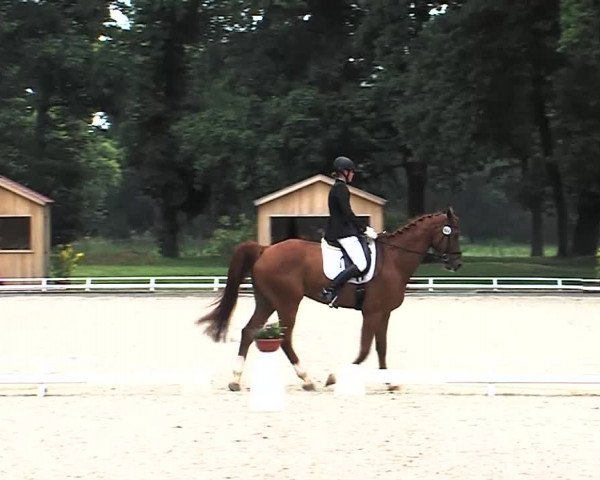 Reitturnier Redefin 2015