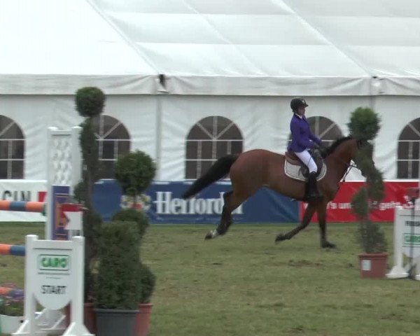 FEI Reitturnier Steinhagen (GER) 2015