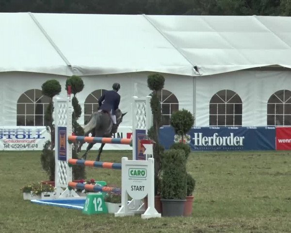 FEI Reitturnier Steinhagen (GER) 2015