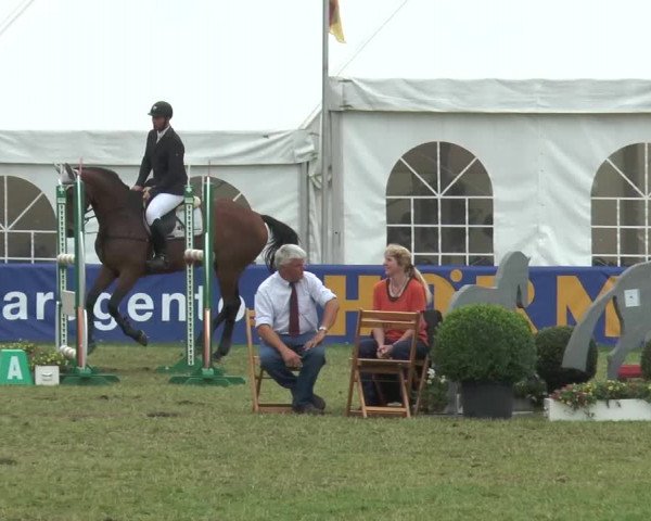 FEI Reitturnier Steinhagen (GER) 2015