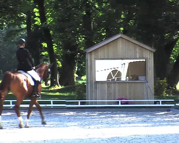 Reitturnier Redefin 2015