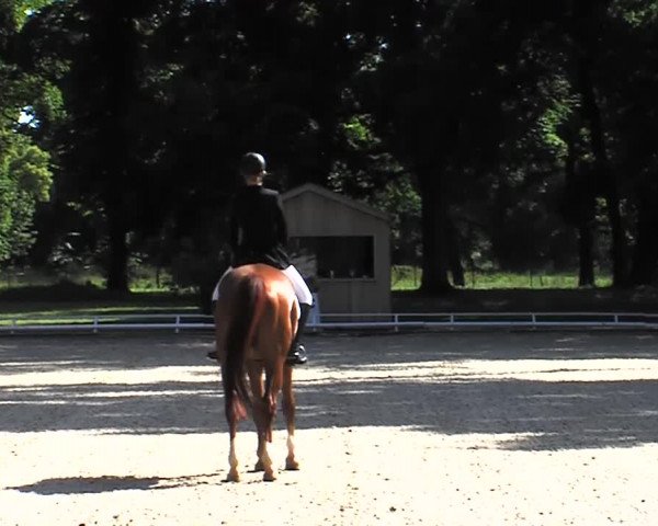 Reitturnier Redefin 2015