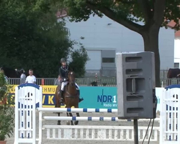 Reitturnier Redefin 2015
