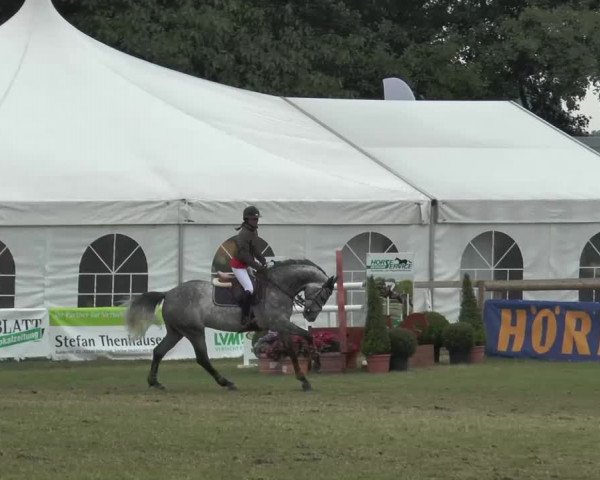 FEI Reitturnier Steinhagen (GER) 2015