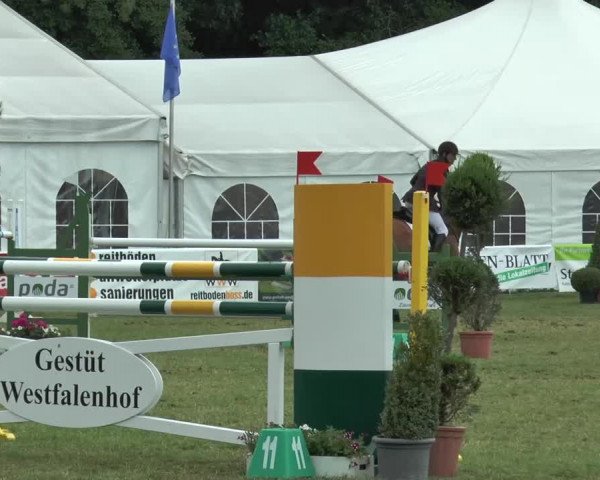 FEI Reitturnier Steinhagen (GER) 2015