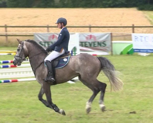 Reitturnier Ahlhorn 2015
