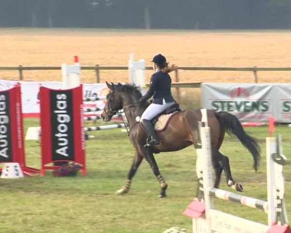 Reitturnier Ahlhorn 2015