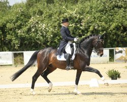 dressage horse Benvenuto 11 (Bavarian, 2010, from Boston)