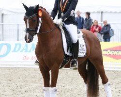 dressage horse Carpe Diem E (German Riding Pony, 2016, from Charivari)