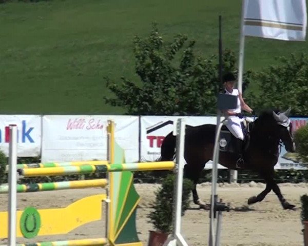 Reitturnier Lindlar-Süttenbach 2015