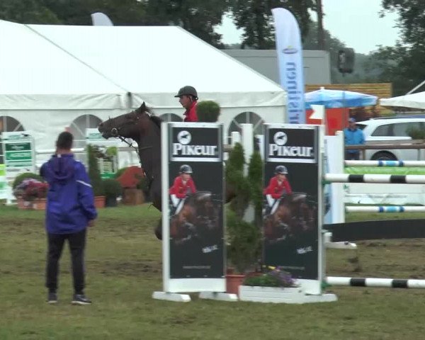 FEI Reitturnier Steinhagen (GER) 2015