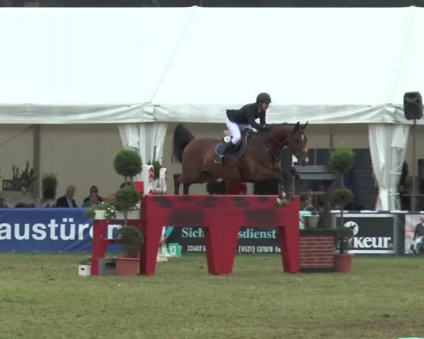 FEI Reitturnier Steinhagen (GER) 2015