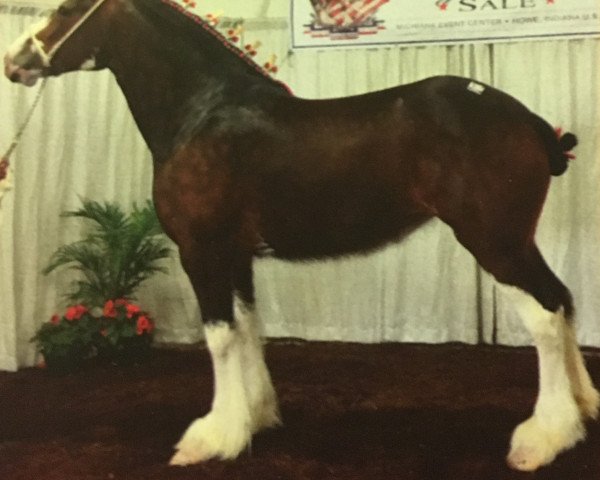 Pferd Little Giants Barbie (Clydesdale, 2009, von Little Giants David)