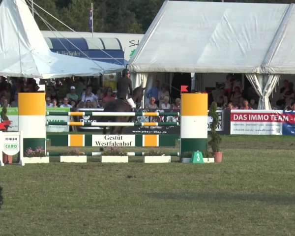 FEI Reitturnier Steinhagen (GER) 2015