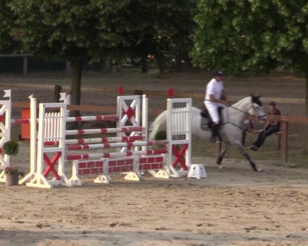 Reitturnier Münster-Roxel 2015