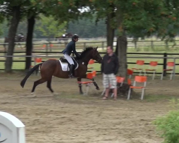 Reitturnier Grefrath - Reitanlage Heitzerend 2015