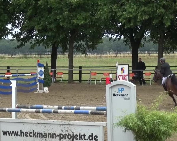 Reitturnier Grefrath - Reitanlage Heitzerend 2015