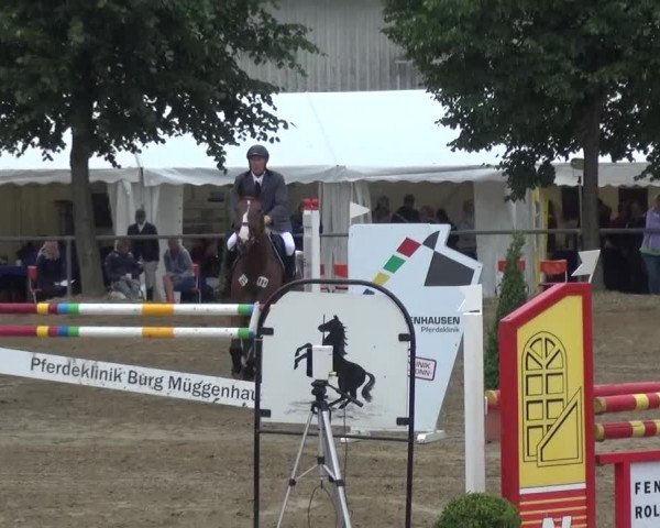 Reitturnier Grefrath - Reitanlage Heitzerend 2015