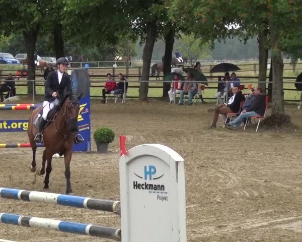 Reitturnier Grefrath - Reitanlage Heitzerend 2015