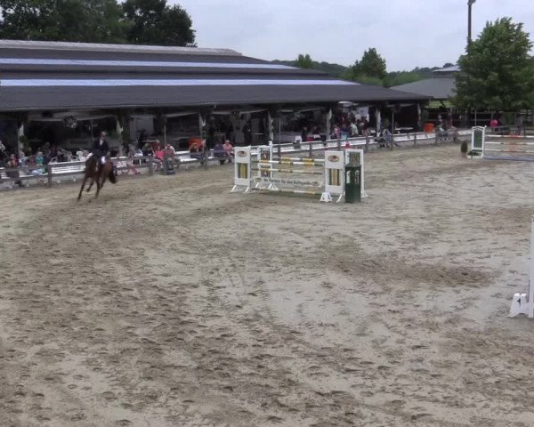 Reitturnier Münster-Roxel 2015