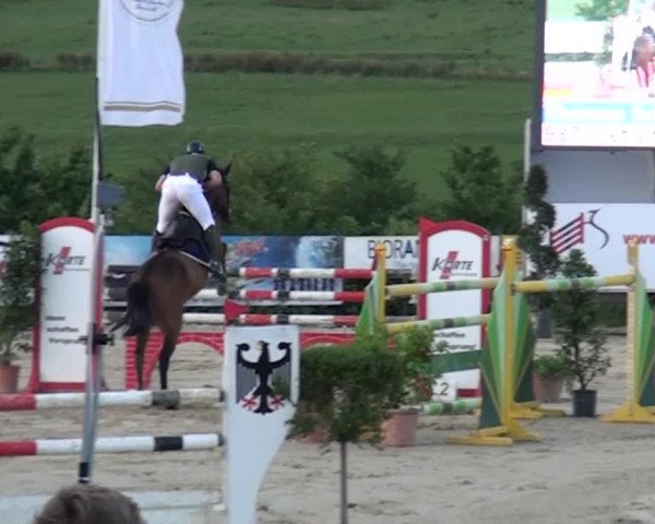Reitturnier Lindlar-Süttenbach 2015