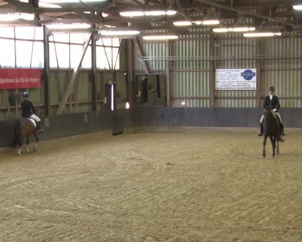 Reitturnier Grefrath - Reitanlage Heitzerend 2015