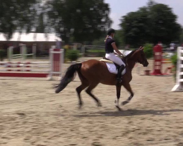 Reitturnier Herbern 2015
