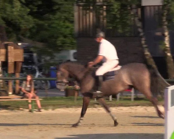 Reitturnier Herbern 2015