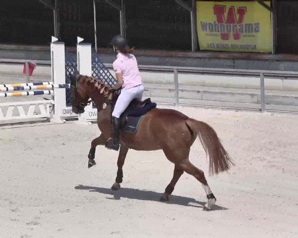 Reitturnier Ingolstadt-Hagau 2015