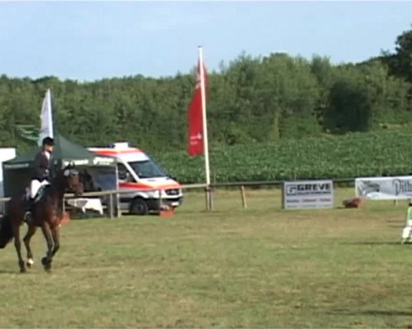 Reitturnier Süderbrarup-Güderott 2015
