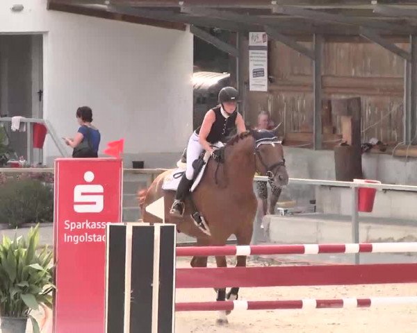 Reitturnier Ingolstadt-Hagau 2015
