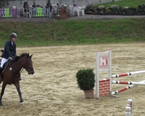 Reitturnier Viersen-Dülken 2015