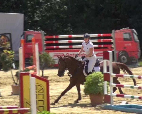 Reitturnier Viersen-Dülken 2015