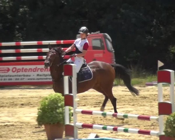 Reitturnier Viersen-Dülken 2015