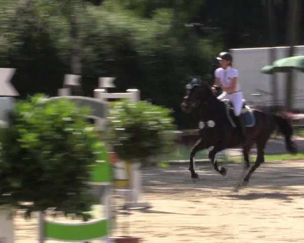 Reitturnier Herbern 2015