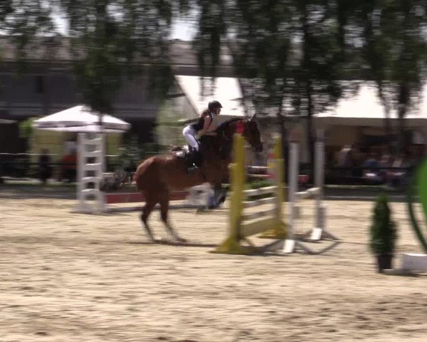 Reitturnier Herbern 2015
