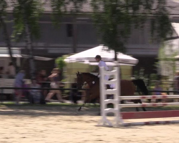 Reitturnier Herbern 2015
