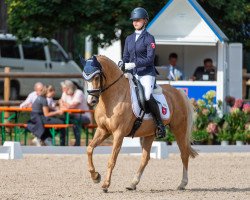 broodmare Zazouela (German Riding Pony, 2008, from Top Zento)