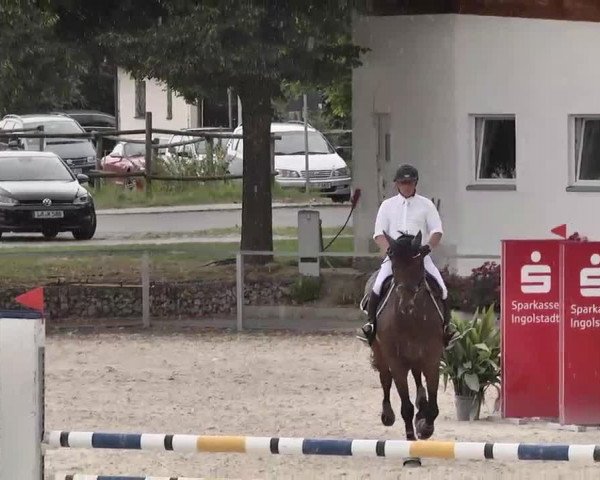 Reitturnier Ingolstadt-Hagau 2015