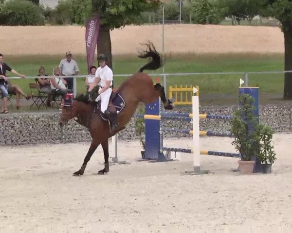 Reitturnier Ingolstadt-Hagau 2015